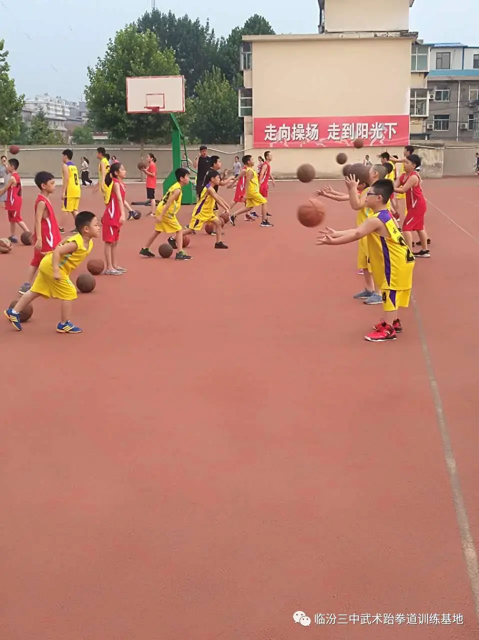 为什么篮球教练的经验很重要_0