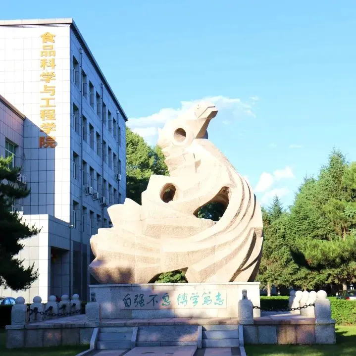 制定科学的篮球训练与休息计划_1